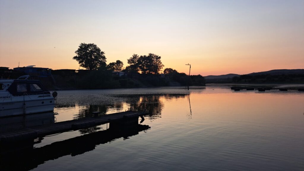 f51554b5-e25d-4876-ba55-49a942b6d624