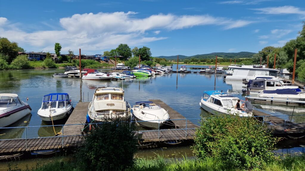 f6b123f9-85f9-48a5-9250-3f3da491c196